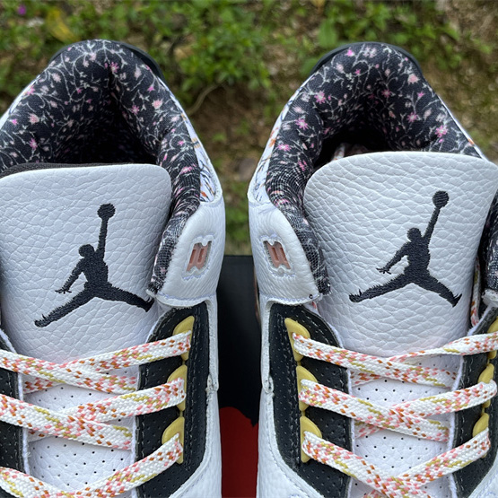 Jordan Air Jordan 3 