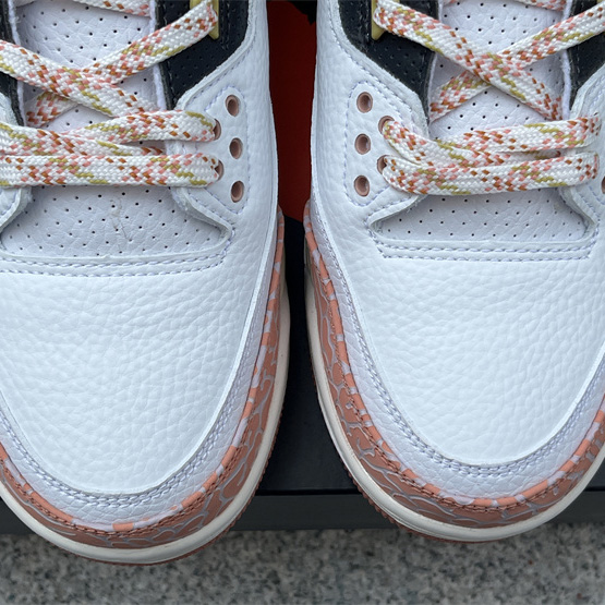 Jordan Air Jordan 3 