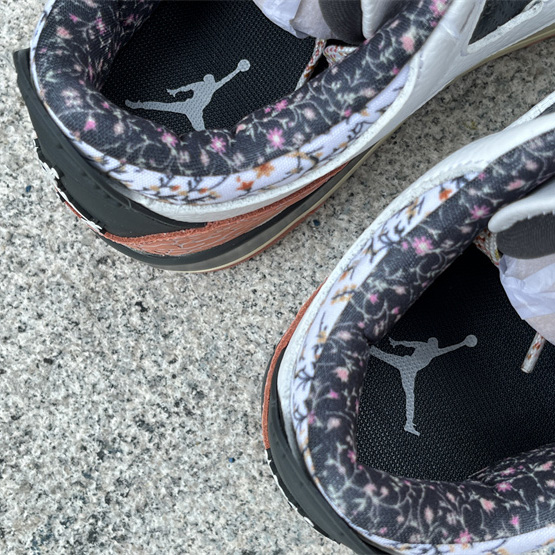 Jordan Air Jordan 3 