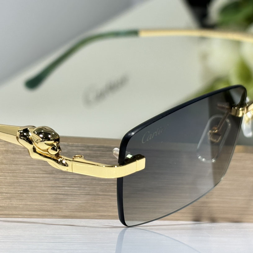 Cartier CT0430S Sunglasses    - 