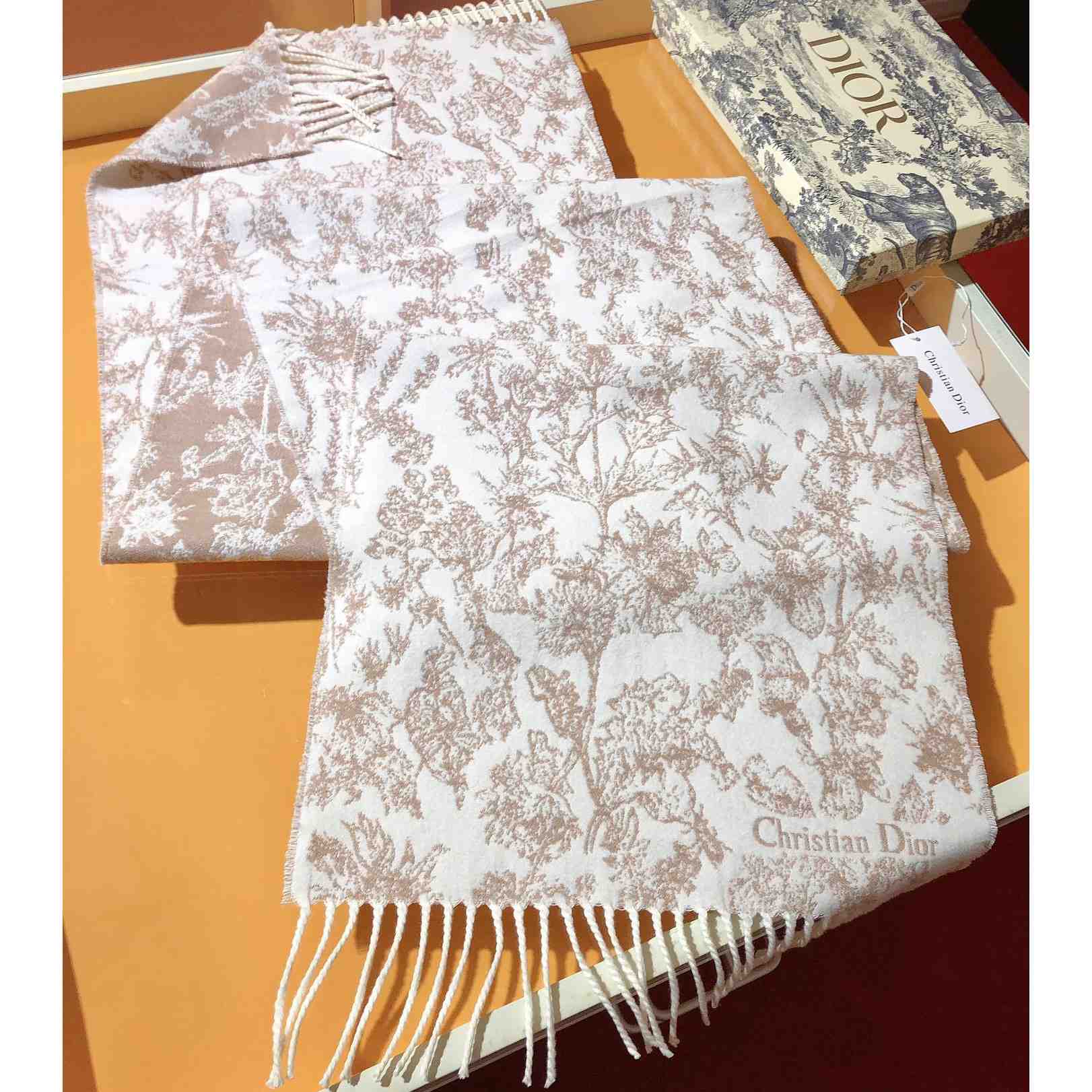 Dior Chardons Scarf Rose des Vents Cashmere And Wool - 