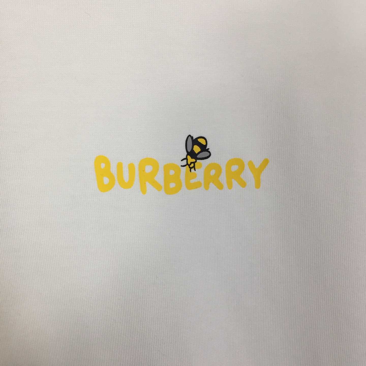 Dior T-shirt With Bee Print - 
