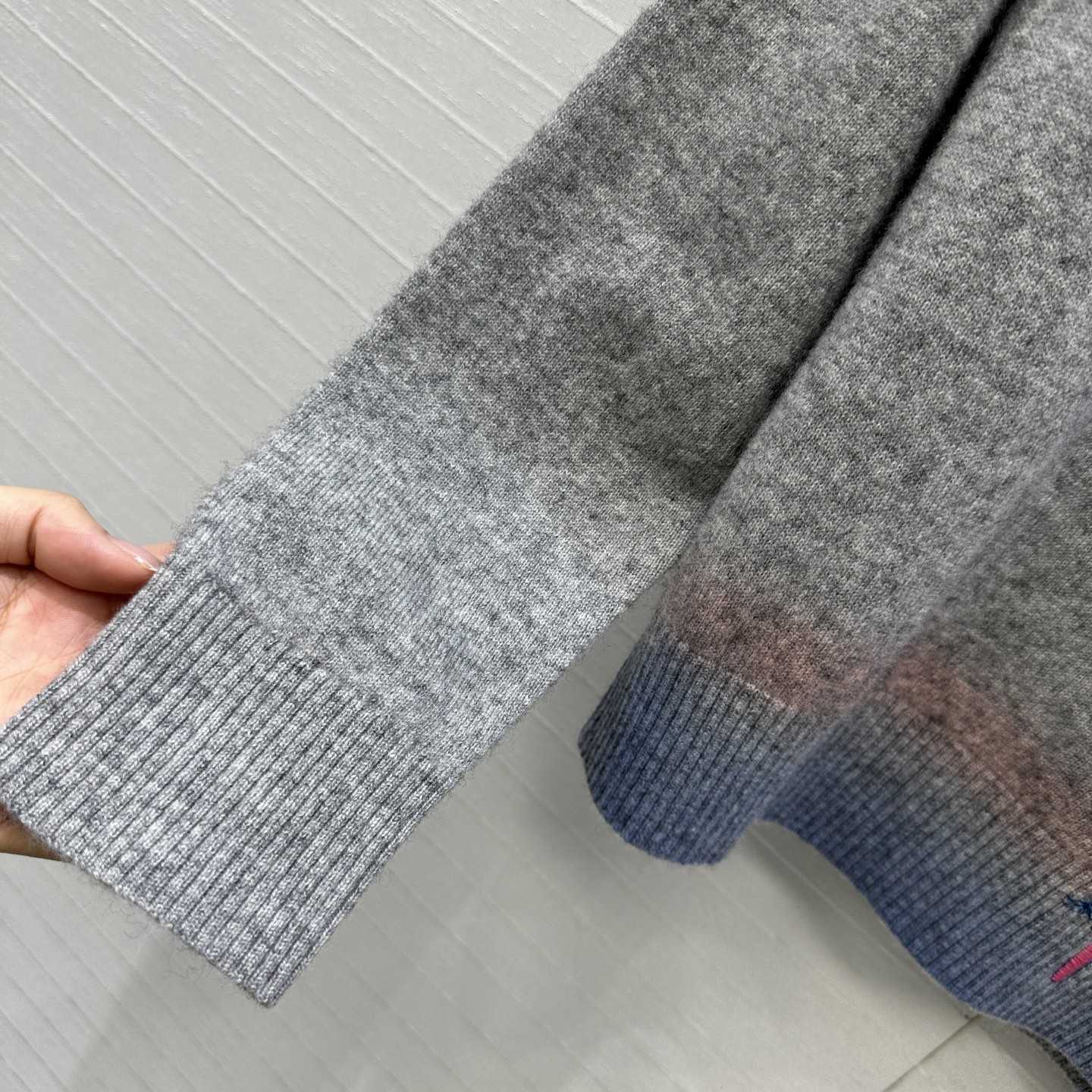 Dior Embroidered Sweater  - DesignerGu