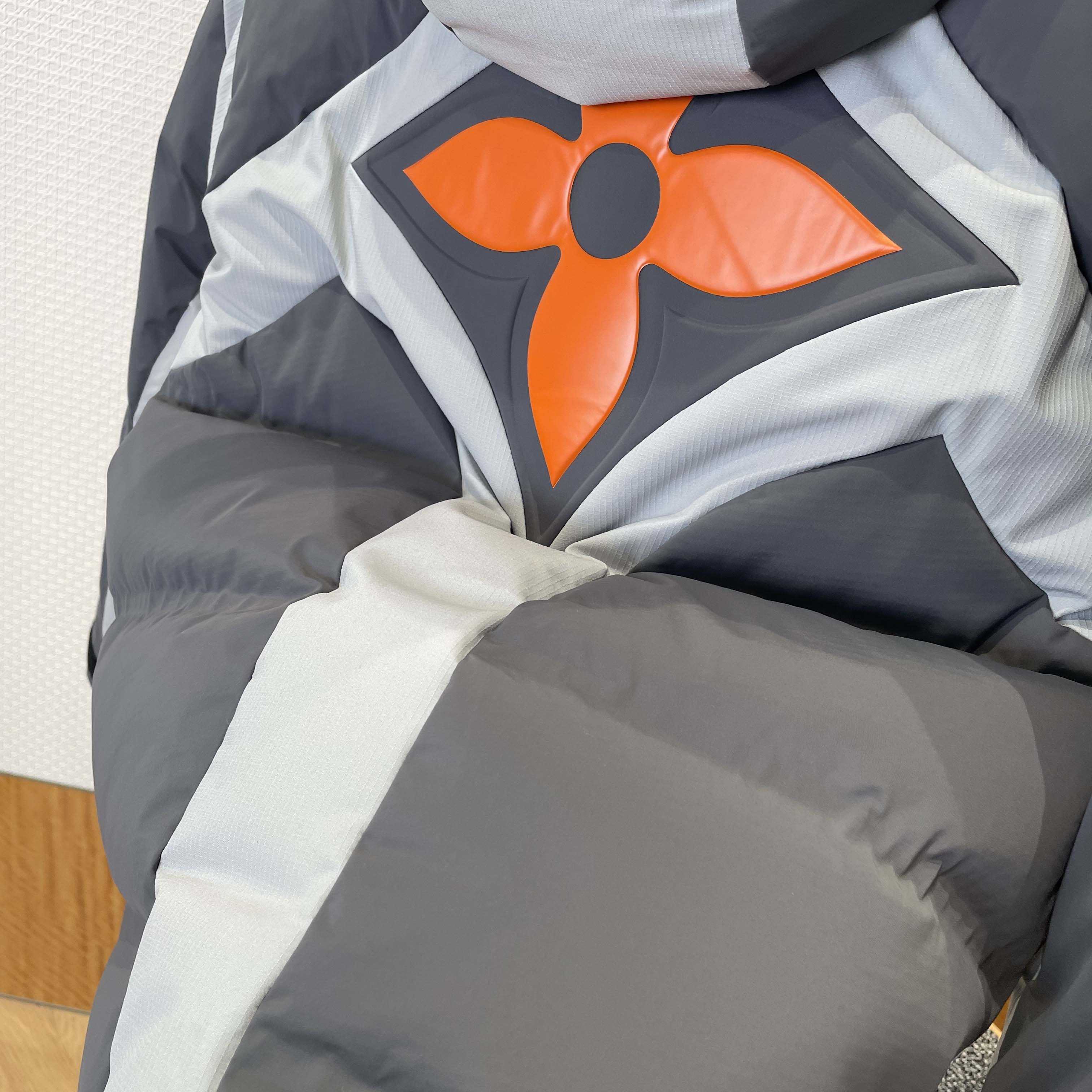 Louis Vuitton Technical Down Ski Jacket  1AGIQ4 - DesignerGu