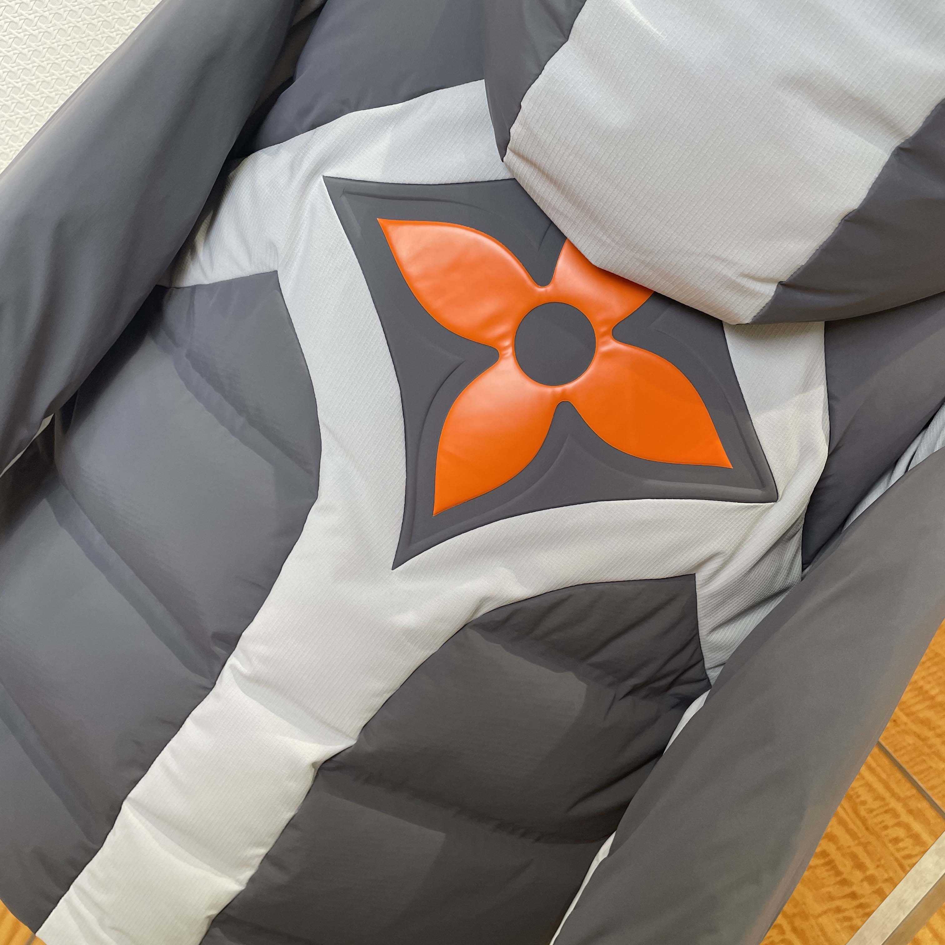 Louis Vuitton Technical Down Ski Jacket  1AGIQ4 - DesignerGu