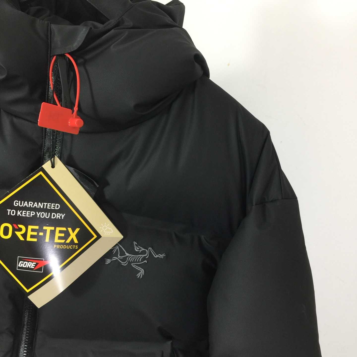 Arc'teryx Hooded Down Jacket - DesignerGu